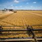 Australien får en formidabel kornhøst, som nu sender verdensmarkedespriserne nedad. Foto: Ian Waldie/Bloomberg