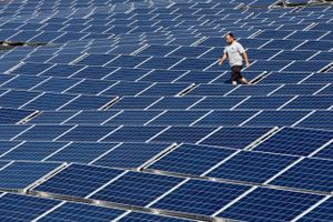 Restaurantkæden Cofoco investerer et tocifret millionbeløb i en solcellepark. Den skal sørge for, at kæden ikke alene bliver selvforsynende med strøm, men også producerer mere end den selv kan bruge.