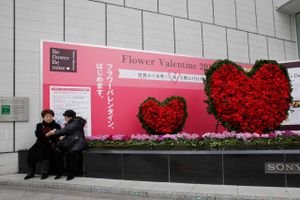 Japanerne, viser det sig, har ikke megen tid til romantik eller at stifte familie. Det skyldes benhårde arbejdsuger og lavvækst. Foto: AP Photo/Shizuo Kambayashi