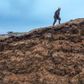 Landmanden Daniel Overgaard Pedersen er en af bagmændene bag et nyt selskab, der vil forvandle landbruget fra klimaskurk til klimahelt. Her ses han på toppen af et bjerg af tørstof, som han omdanner til biogas på sit biogasanlæg i Vrå. Foto: Claus Haagensen