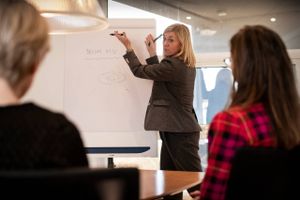 Trods bevis for, at kønsdiversitet i ledelsen virker, har mange kapitalforvaltere det ikke med i ligningen, når de skal finde virksomheder at investere i, viser ny undersøgelse.