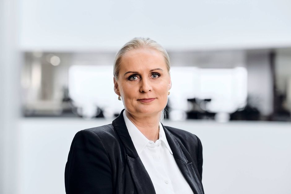 Artiklens øverste billede