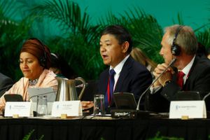 Pakken er vedtaget, siger den kinesiske miljøminister, Huang Runqiu, efter FN's maratonmøde i Montreal. 