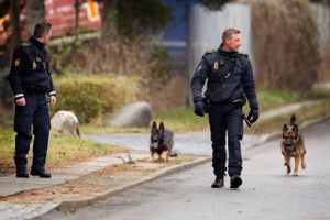 Danmark øger bidrag og udsender for første gang en hundepatrulje, der kan spore personer ved EU’s ydre grænse, siger justitsministeren efter møder med EU’s grænseagentur.