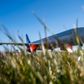 Foto: Martin Sylvest/Ritzau Scanpix