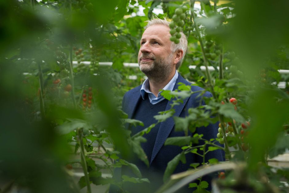 Mads Pedersen ejer og driver den familieejede virksomhed Nordic Greens. Han vidste godt, at 2022 ville blive et svært år, men han forstår stadig ikke, at danskerne ikke vil have hans tomater.