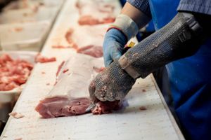 Aftaler om arbejdstiden med ekstra pauser er med til at halvere antallet af aktuelle fyresedler på et landmandsejet, nordjysk svineslagteri. 