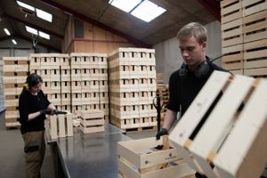 Fødevareindustrien er en storkunde for Dansk Træemballage, der bl.a. laver kasser til levering af madvarer. Foto: Kenneth Lysbjerg Koustrup.