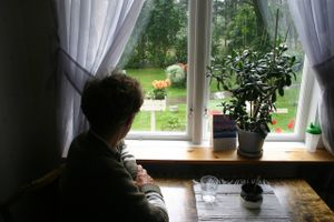 Pensionisternes indefrosne grundskyld voksede i 2015 til 8,4 mia. kr., og gælden voksede hurtigst i en række yderkommuner.