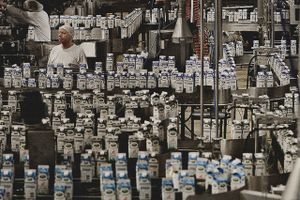 Arla vil investere i nye mejerianlæg for at øge produktionen. 