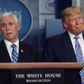 USA's præsident Donald Trump og vicepræsident Mike Pence under en pressebriefing om coronavirussen. Foto: Jonathan Ernst/Reuters