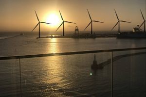 EU's disclosureforordning træder i kraft onsdag. Dermed skal samtlige investeringsprodukter mærkes med mørkegrøn, lysegrøn eller ingenting.