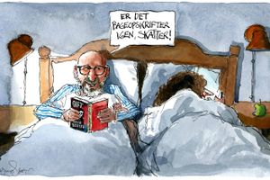 Satire - uge 28: Agurketiden lader stadig vente på sig. Det vælter rundt med flygtende fallerede rigmænd, vildfarne milliardærer og halløj på valutamarkedet. Og sandelig om vi ikke fik serveret endnu en banal historie om aktiesvindel. 