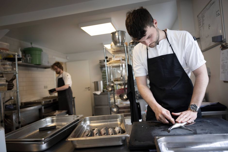 Beskæftigelsen i hotel-og restaurationsbranchen er rekordhøj, men arbejdskraften hænger bestemt ikke på træerne.