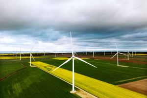 Blackstones indtræden i den danske energigigant Eurowind Energy er en god nyhed for den grønne omstilling, mener erhvervslivet og analytiker. 