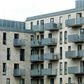 Ord som "altan", "havudsigt" og "kolonihave" er også blandt boligsøgernes favoritter.