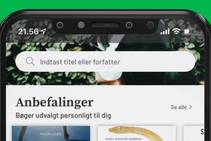 Den danske onlineboghandel og streamingtjeneste Tales.dk har indgivet konkursbegæring.
