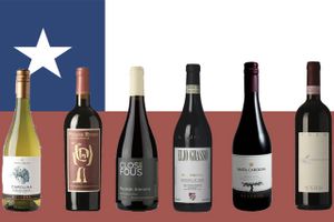Ambitiøse, anderledes vine myldrer frem på den chilenske scene.