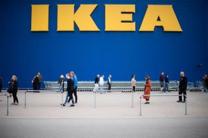 Ikea skilter med bæredygtighed, men det svenske medie Aftonposten kunne tidligere på ugen afsløre, at møbelgiganten ulovligt fælder truet skov i Ukraine. Nu vil Ikea starte en udredning af problemet.