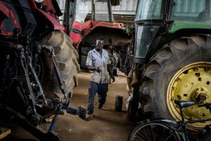 De danske landmænd har gennem de seneste 20 år været pionerer i Østeuropa. Nu genanvender de succesen i de afrikanske landbrugssektorer. Foto: Anders Rye Skjoldjensen. 
