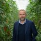 Danmarks største tomatproducent, Mads Pedersen, lukker produktionen den kommende vinter på grund af de høje energipriser. Mange andre gartnerier følger trop og lukker eller reducerer produktionen. Foto: Benjamin Nørskov