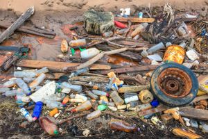 Det er ikke kun i Afrika eller Asien, at plasticaffald i havene er en udfordring. Billedet her er fra stranden ved Agger i Nationalpark Thy. Foto: AP/Patrick Pleul