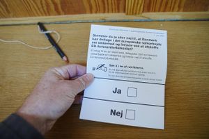 På 19 af 1.532 stemmesteder var der flest nej-sigere ved folkeafstemningen. 