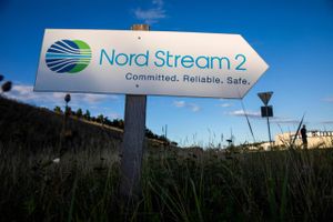 Selskabet bag den omdiskuterede gasledning Nord Stream 2, der skulle levere gas fra Rusland til Tyskland, fyrer alle ansatte på hovedkontoret. Det skriver flere udenlandske medier.