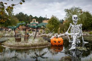 De danske forlystelsesparker havde rekordhøjt besøgstal i forbindelse med halloween-fejringen.
