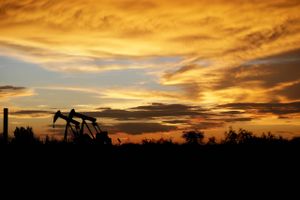 Oliepumperne kører atter for fuld kraft Texas, og det holder oliepriserne nede. Foto: AP/Eric Gay