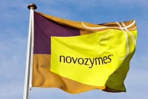 Efter 17 år i selskabet og 10 år som finansdirektør siger Novozymes farvel til Benny Loft. Udskiftningen må ses som første skridt i en stor ledelsesudskiftning.