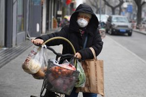 De seneste data viser, at 75.748 personer er ramt inficeret af coronavirus, mens 2.129 er døde.   Foto: AFP/Greg Baker 