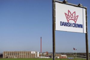 Danish Crown går efter at undgå nye, skrappe betingelser for at overtage en dansk konkurrent.
