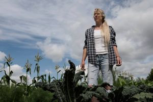 Langt størstedelen af dansk landbrugsjord er ejet af mænd, viser tal fra Danmarks Statistik. Ifølge debattør og landmænd, Lone Vitus, skal flere kvinder blive landmænd, da det »ikke er gået for godt« for mændene.