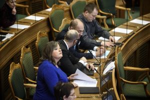 En meningsfælle deler Mette Gjerskovs (S) kritik, men stemmer ja til forbud af hensyn til partiet.