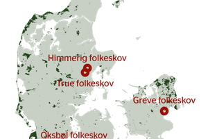 Regeringen vil have danskerne til at give en 20'er til nye ”folkeskove”. Skeptiske skoveksperter: Skovrejsning er for dyrt.