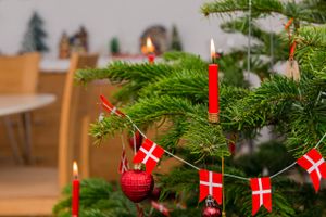 Det vides ikke med sikkerhed, hvor traditionen med at hente et grantræ ind i stuen og danse rundt om det juleaften oprindeligt stammer fra, men den kom til Danmark i 1800-tallet fra Tyskland.