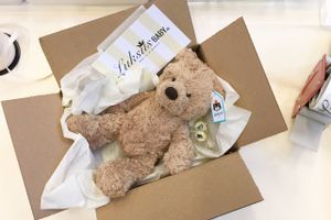 Det går fremragende for den unge virksomhed Luksusbaby, der for få år siden blot startede som en nebengesjæft.
Virksomheden sælger mærker som Marc Jacobs og Ralph Lauren til børn og babyer, og står i år til at vækste med mere end 40 pct.