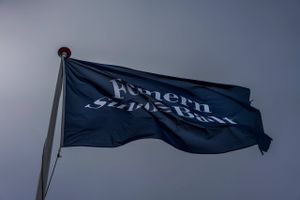 Eksperter sår tvivl om Femerns økonomiske sikkerhedsnet til uforudsete ekstraregning. Femern A/S afviser, at reserven er for lille.