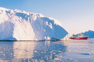 Trods hårde odds præsterer fiskekoncernen Royal Greenland det bedste resultat nogensinde.