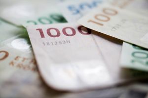 Et kontrolsystem hos Skat, der blev indført i 2013, har stoppet årligt snyd med underholdsbidrag for 150 mio. kr. om året, viser en anlyse fra Rockwool Fonden. Foto: Thomas Borberg 