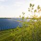 De første solcelleanlæg fra Better Energy er blevet finansieret med realkreditlån. Arkivfoto: Better Energy