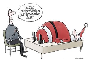 Normalt går det mere sløvt for sig i begyndelsen af december, når de dansker onlinebutikker skal sælge julegaver ovenpå Black Fridays mange tilbud. Men i år er antallet af transaktioner steget i decembers første dage. Tegning: Niels Bo Bojesen.