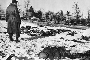 En amerikansk soldat betragter ligene af nogle af de 84 landsmænd, der den 17. december 1944 blev skudt ned ved Baugnez, efter at de havde overgivet sig til en tysk SS-styrke. Arkivfoto: AP