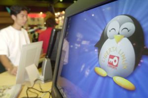 Styresystemet Linux har en pingvin som sit logo og blev opfundet af finske Linus Torvald i 1991.  