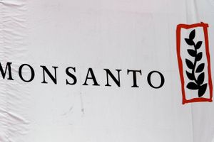 Tyske Bayer løftede i sidste uge sit bud på amerikanske Monsanto med 3 dollar per aktie til 125 dollar.