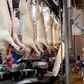 De danske svineproducenter hvæsser knivene og lægger an til en retssag mod landets næststørste slagteriselskab, Tican. Foto: Gregers Tycho