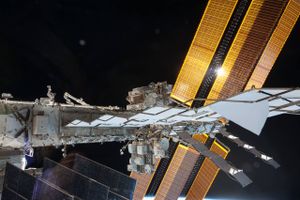 Den Internationale Rumstation (ISS) er i forvejen inficeret med mug-svampe, der er taget på rumfart som blinde passagerer. Men forskere har også sendt svampe fra Tjernobyl ud til stationen. Foto: NASA