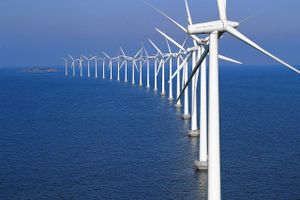 Danmark har i årtier satset på vindenergi, men på Global Energy Architecture Performance Index rækker det kun til en 4. plads. Forklaring? Danmarks NOx-udledning er for stor. Foto: Jens Dresling 
