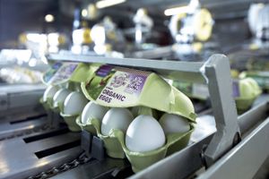 Emballageproducenten Brdr. Hartmann, der tjener langt størstedelen af sine penge på æggebakker, må efter alt at dømme opgive at leve op til målsætningerne i den strategi, som blev sat i søen for to år siden. 